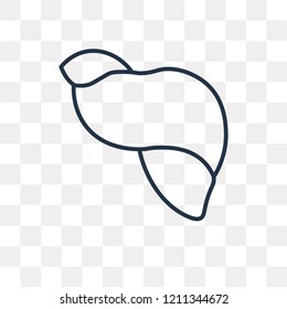 Seashell vector outline icon isolated on transparent background, high quality linear Seashell transparency concept can be used web and mobile