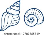Seashell Vector Set, Nautical Shell Clipart, Coastal Marine Line Art, Hand Drawn Sea Shell Collection, Ocean Beach Outline Illustration, Mediterranean Summer Decor Elements