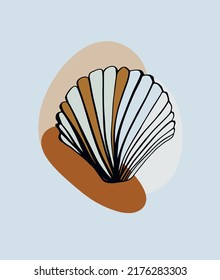 Diseño gráfico de la ilustración de vectot de conchas marinas