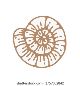seashell vintage vector illustration designs. isolated clip art elements, great for logo design and branding. marine ,sea travel, ocean and underwater themes. mermaid graphic design, small tattoo