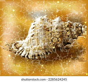 Seashell vip summer card, vector illustration