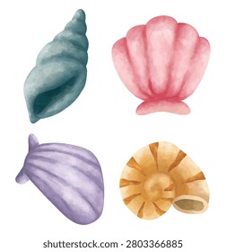 seashell watercolor hand drawn clip art isolated background