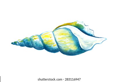 Seashell watercolor illustration. Hand drawn underwater element design. Artistic vector marine design element. Illustration for greeting cards, printing and other design projects. 