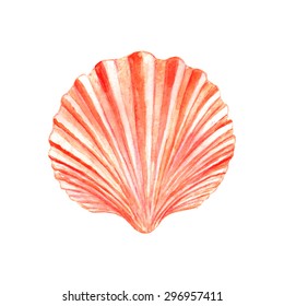 Seashell watercolor illustration. Hand drawn underwater element design. Artistic vector marine design element. Illustration for greeting cards, printing and other design projects. 