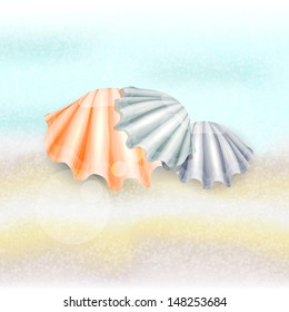 Seashell-fan.