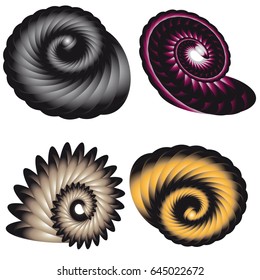 Seashells