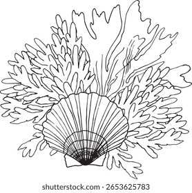 Conchas, algas, decoração de corais. Ilustração desenhada à mão do fundo da Shell do mar. Oceano Cockleshell submarino submarino. Desenho de linha da decoração Scallop. Para o revestimento de tecido de impressão. Fundo do mar Abstrato