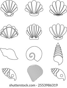 Seashells beach icon set mollusk shells customizable thin line contour symbols. Various sea shells black collection isolated on transparent background. Perfect for invitations greeting cards.