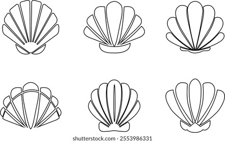 Seashells beach icon set mollusk shells customizable thin line contour symbols. Various sea shells black collection isolated on transparent background. Perfect for invitations greeting cards.