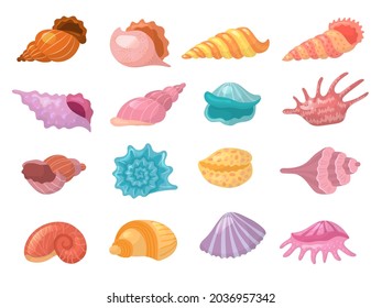 Seashells. Beach summer nature elements on sand starfish recent vector colorful seashells collection