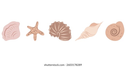 Seashells beige set, hand drawn seashells of different shapes. Underwater elements for designs, invitations, cards