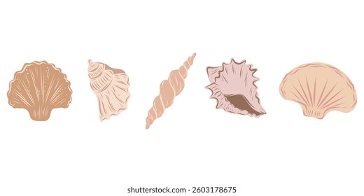 Seashells beige set, hand drawn seashells of different shapes. Underwater elements for cards, designs, invitations