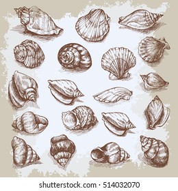Seashells big set hand drawn vector graphic vintage etching sketch, underwater artistic marine ornament, design for card, wallpaper, decorative texture, wrapping paper.