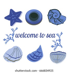 seashells in blue with text as a background, vector