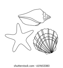 Seashells from the bottom of the sea.Summer rest single icon in outline style vector symbol stock illustration.