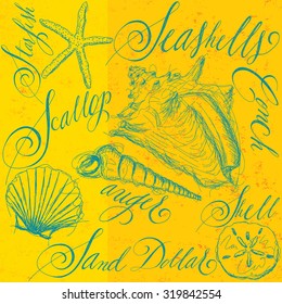 Seashells with calligraphySketchy, hand drawn seashells with seashell names in calligraphy.