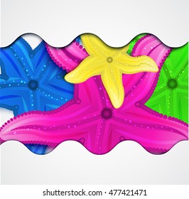 Seashells cartoon background. Colorful shells on a white background.