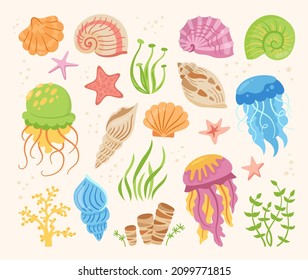 Seashells cartoon hand drawn set. Ocean marine shell, starfish, spiral mollusk seaweed, conch and jellyfish. Tropical under water design elements flat colorful sea shells. Isolated vector illustration