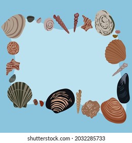 Muscheln, hellblauer Hintergrund
