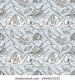 Seashells. Coast of California. Hand-drawn seamless patterns. Vector illustration on a blue vintage background.