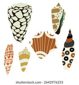 Seashells collection. Hand drawn vector illustration isolated on white background.