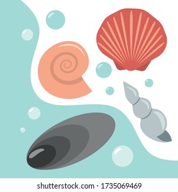 Seashells. Collection of seashells on the beach. Poster of seashells.