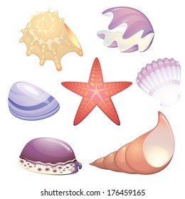 seashells collection with starfish