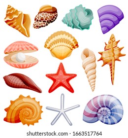 Seashells collection. Vector flat cartoon illustration. Summer travel design elements, isolated on white background. Sea shells colorful icons set.
