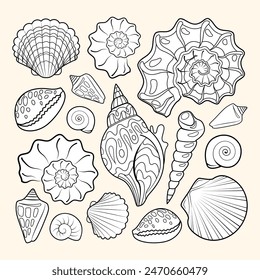 Seashells coloring book page for adult. Hand drawn artwork. Shells background of isolated elements. Black and white vector illustration