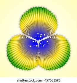 Seashells in the colors of the flag of Brazil