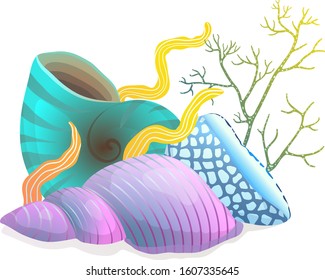 Seashells composition with algae and corals isolated on white hand drawn cartoon. Sea shells isolated on white, underwater coastal or aquarium drawing with corals.
