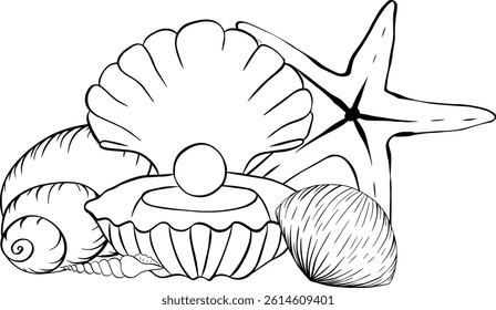 Composição das conchas. Ilustração de tinta de linha gráfica vetorial para cartões-postais, saudações, impressões em têxteis e outros produtos criativos. Para logotipo, web, pacote, adesivo.

