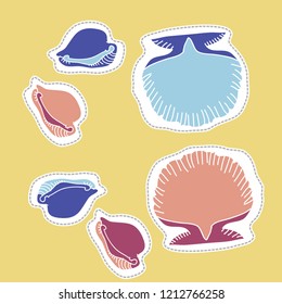 Seashells, cowry,  dashed lines, labels pattern . Hand drawn.