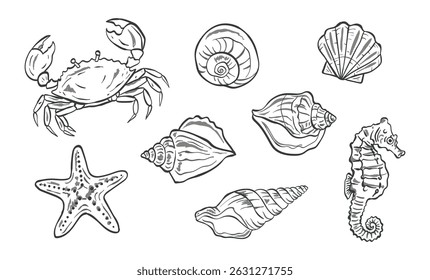 Conchas caranguejo seahorse estrela-do-mar monocromático esboço conjunto, preto e branco linha arte estilo, para ilustrações náuticas ou vintage decoração marinha, isolado no fundo branco, ilustração vetorial
