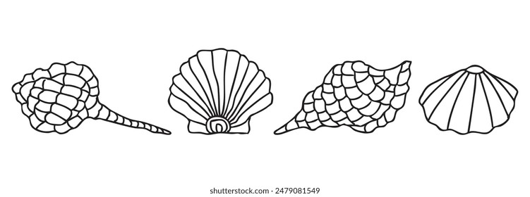 Seashells different decorative contour drawings, vector illustration isolated on white
