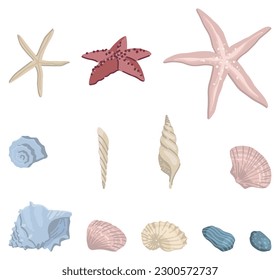 Los garabatos de las marismas se ponen. Colección de conchas de moluscos, pez estrella. Ilustración vectorial de color en estilo de dibujos animados. Clásicos modernos aislados en blanco.