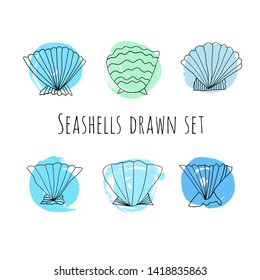 Seashells drawn vector set. Marine collection. Decorative shells with watercolor background