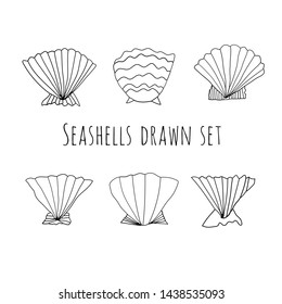 Seashells drawn vector set. Marine decorative collection