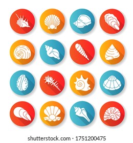 Seashells flat design long shadow glyph icons set. Different mollusk shells, conchology Decorative ocean souvenirs. Various sea shells collection silhouette RGB color illustrations