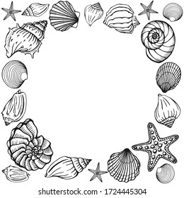 Seashells frame. Sea and ocean design template. Vector illustration. Vector card templates. Perfect for business card, invitation, wedding and web design.