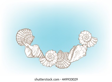 seashells, frame, vector illustration