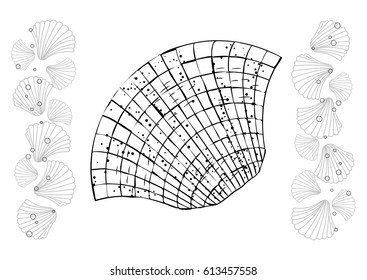 seashells hand draw. Coloring page seashell. Black and white vector illustration.