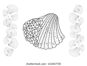 seashells hand draw. Coloring page seashell. Black and white vector illustration.