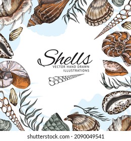 Seashells hand drawn banner with copy space for text in the middle, colored sketch vector illustration. Sea and ocean inhabitants, underwater life elements frame or border.