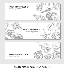 Seashells hand drawn vector graphic etching sketch isolated on white background, decorative banner, underwater artistic marine graphic texture, template label layout design for card, beauty salon, spa