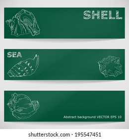 Seashells hand-drawn in a sketchy style on a blackboard. Vector background.