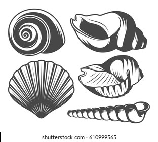 Seashells icons set