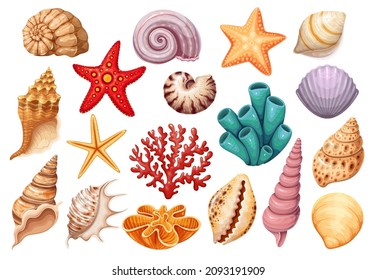 Los iconos de Seashells se configuran. Diversas conchas de moluscos de diferentes formas, pez estrella, coral. Flora submarina, ilustraciones vectoriales de plantas marinas.