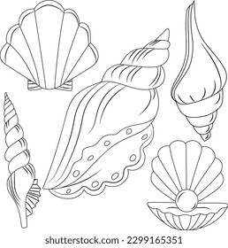Ilustración de Seashells en un conjunto de gráficos vectoriales de silueta