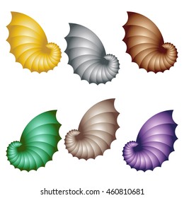 Seashells Isolated on White. Set of Colorful Shells. Vector Illustration.